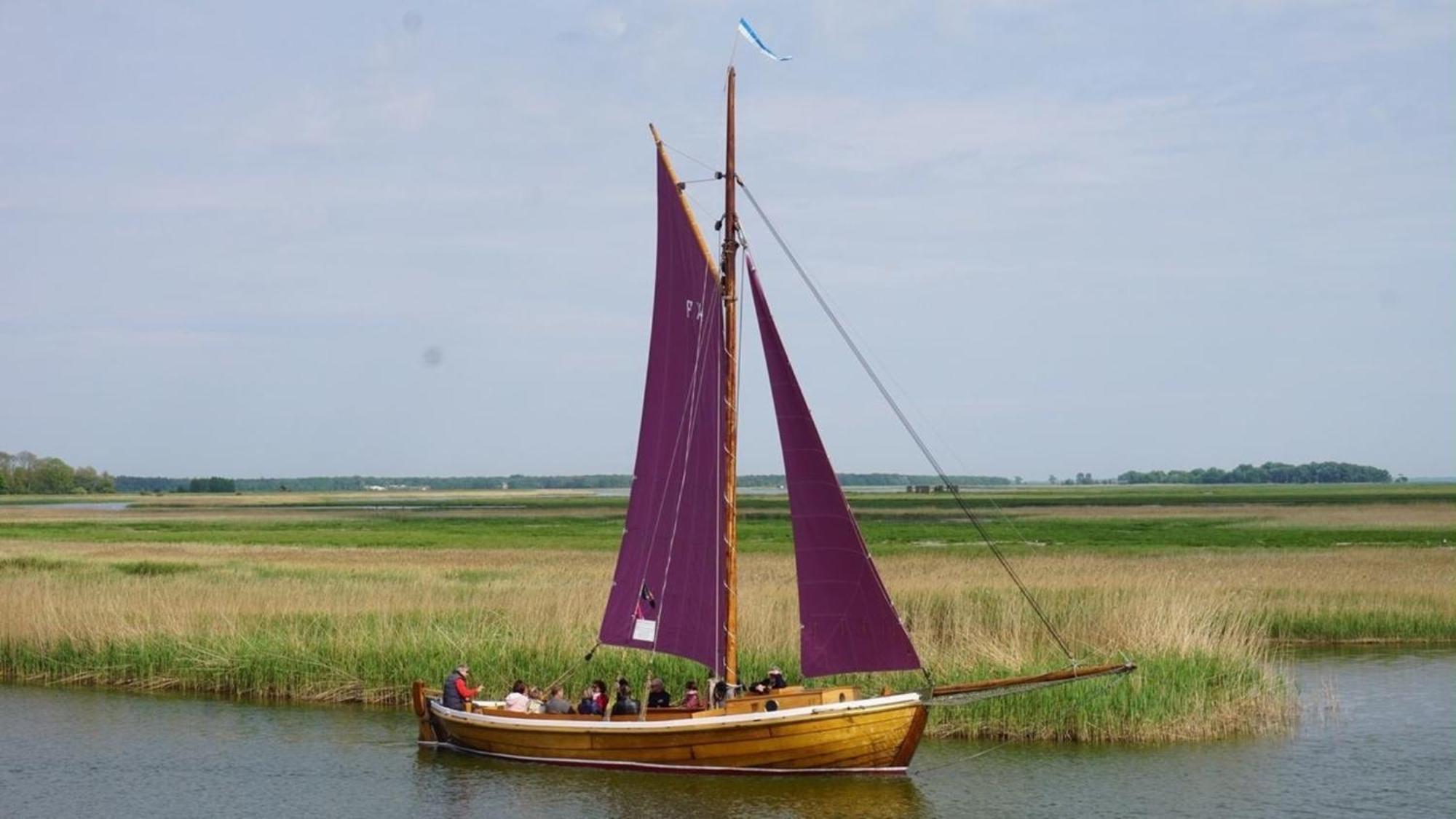 Adele Lägenhet Zingst Exteriör bild