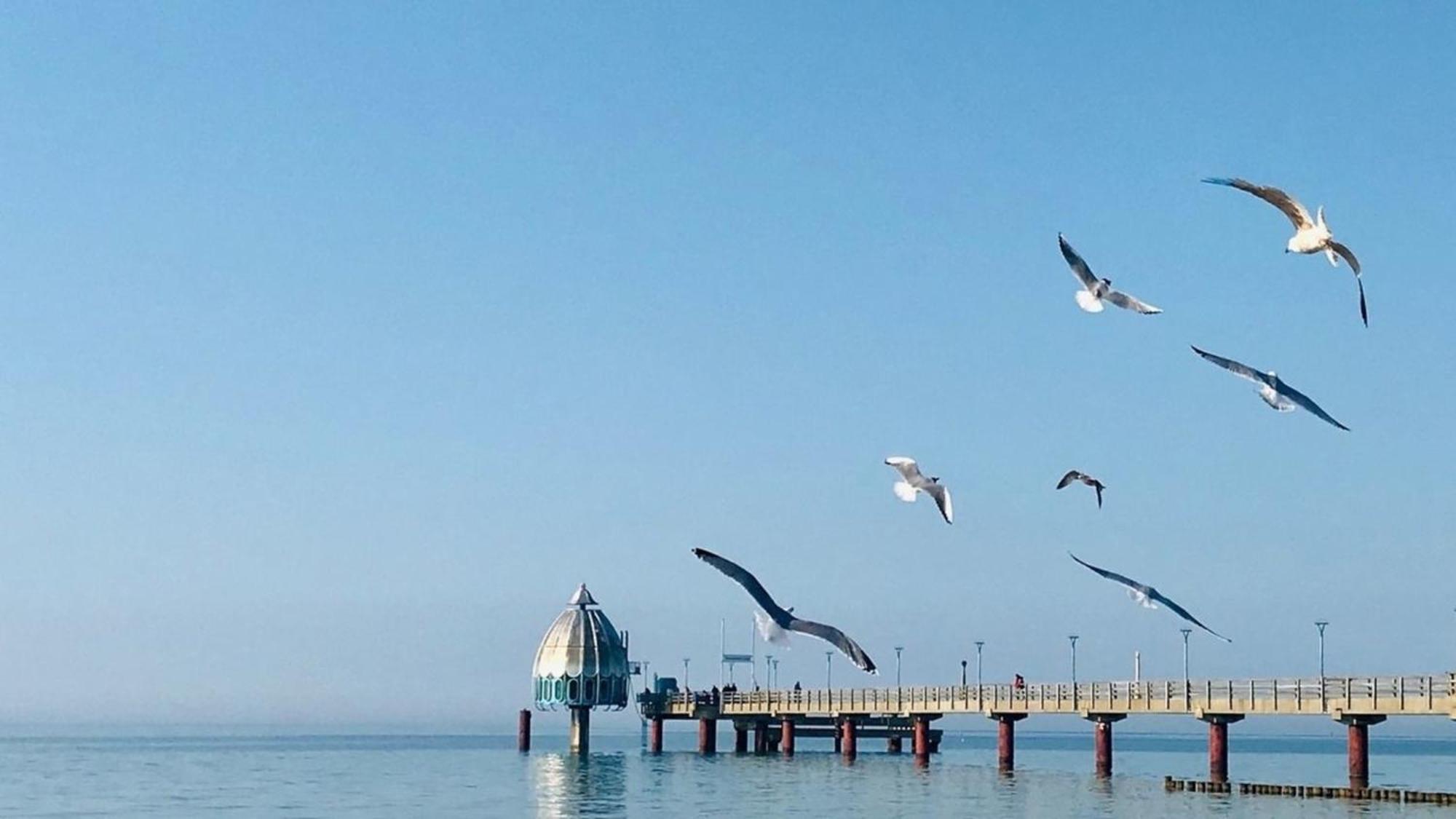 Adele Lägenhet Zingst Exteriör bild